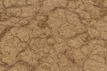 Desert dry floor pattern background