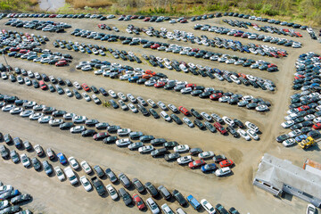 Auction lot on car distributed in used cars terminal parked