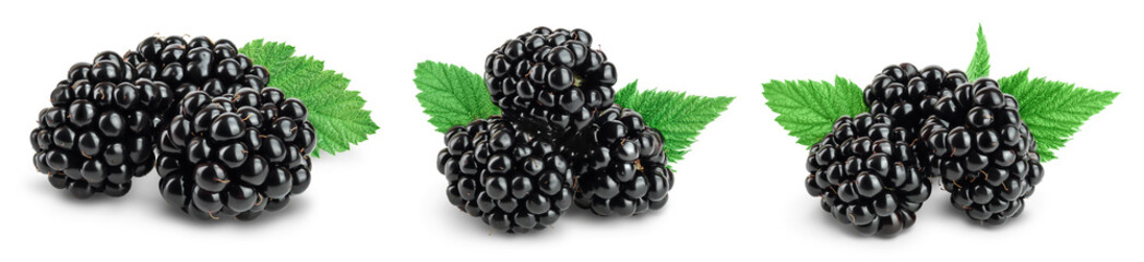 blackberry with leaf isolated on a white background closeup with full depth of field. Set or collection