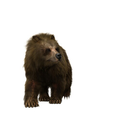 Obraz premium 3D illustration of a brown bear walking isolated on white.