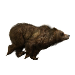 3D illustration of a brown bear running isolated on white.
