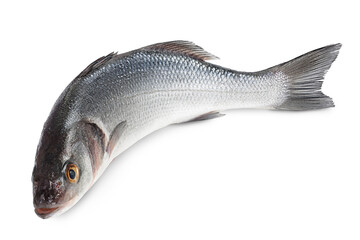 Sea bass fich isolated on white background with clipping path and full depth of field.