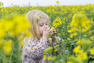 Naklejka na ściany i meble Outdoor candid portrait of cute blonde girl in field of yellow flowers.