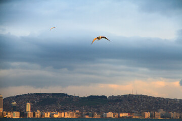 view of the sea and city