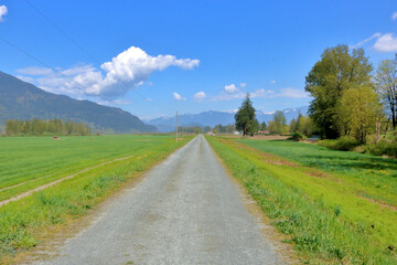 Fototapeta na wymiar Narrow country road in Valley