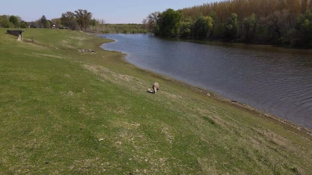 Calm River Waterway Surrounded by Green Trees and Vegetation