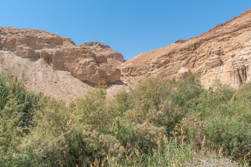 Fototapeta na wymiar Judean Desert Nature Preserve, Ein Bokek River in Israel