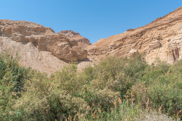 Fototapeta premium Judean Desert Nature Preserve, Ein Bokek River in Israel