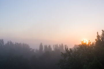 Spring cityscape - morning fog, green trees and sky with clouds
