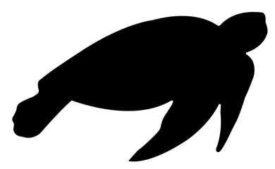 Fototapeta premium Sea turtle logo. Isolated turtle on white background