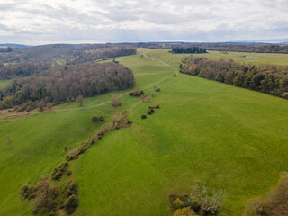 Obraz premium landscape with field and blue sky