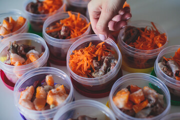 Process of preparing bowls with natural raw pet dog food at home, preparation of healthy raw barf for cats dogs, with duck, turkey, offals, meat, vegetables, assorted fresh food portions in containers