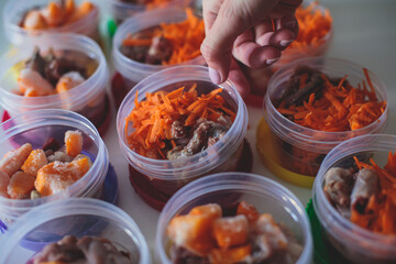 Process of preparing bowls with natural raw pet dog food at home, preparation of healthy raw barf for cats dogs, with duck, turkey, offals, meat, vegetables, assorted fresh food portions in containers