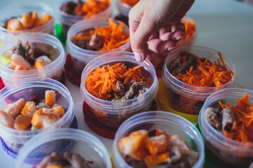 Process of preparing bowls with natural raw pet dog food at home, preparation of healthy raw barf for cats dogs, with duck, turkey, offals, meat, vegetables, assorted fresh food portions in containers