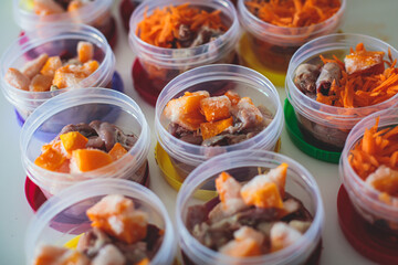 Process of preparing bowls with natural raw pet dog food at home, preparation of healthy raw barf for cats dogs, with duck, turkey, offals, meat, vegetables, assorted fresh food portions in containers