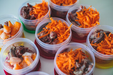 Process of preparing bowls with natural raw pet dog food at home, preparation of healthy raw barf for cats dogs, with duck, turkey, offals, meat, vegetables, assorted fresh food portions in containers