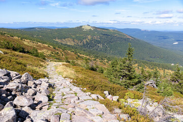 Trail to the shelter under Labski Szczyt mountain