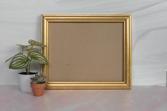 Gold picture frame blank ready to add picture or content with small house plant no people