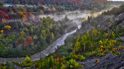Fog and mist in the National Park with maple trees in autumn.