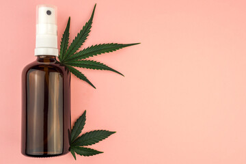 CBD body oil lotion Cannabis cosmetic product for skin care flat lay on pink background