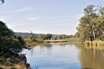 Obraz premium Reflections on the water of a river from trees and grass on a sunny day