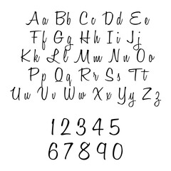 Vector alphabet. Hand drawn letters. Letters of the alphabet written with a brush.