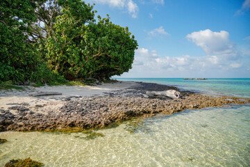 星砂浜（竹富島）