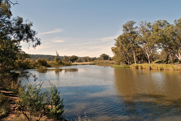 Reflections on the water of a river from trees and grass on a sunny day