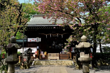 Foto op Plexiglas 東京都北区　七社神社 © Sphurana