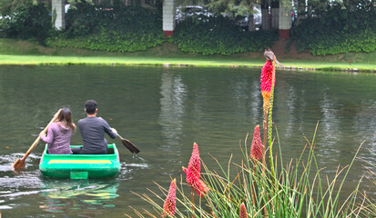 bird on red hot poker and a couple paddling in a lake