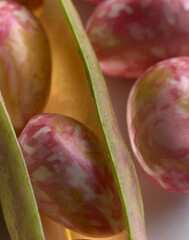 Closeup of beans in a bean pod with blurred background