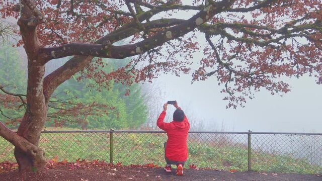 Panning shot of a senior man recording videos of the foggy autumn scene with a smartphone