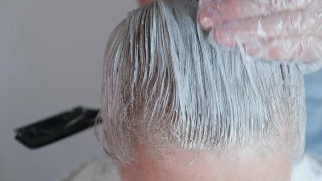Dyeing gray hair of a middle-aged woman. A master paints over the gray hair of an elderly client. Smooth hair after dyeing so that the dye is evenly distributed. Close-up.