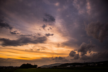 田舎の夕日と田んぼ