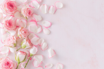 Obraz na płótnie Canvas pink roses background