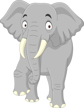 Cartoon elephant isolated on white background 