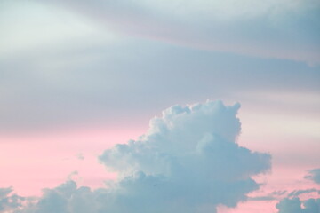 Clouds and sky pink color for background.	 Sweet colorful clouds on the sky after sunset.