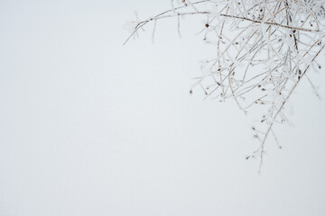 北海道の冬景色 霧氷