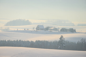 北海道の冬景色 美瑛の丘の風景