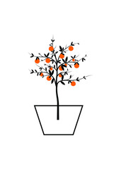 Illustration of an orange tree on a white backdrop, wallpaper of a simple orange tree, a poster for the wall.