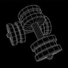 Dumbbells Gym equipment. Bodybuilding, powerlifting, fitness concept. Wireframe low poly mesh vector illustration