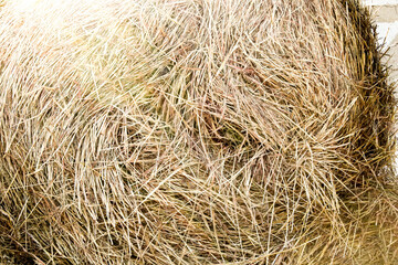 The straw is rolled up. Hay for pets. Rolls of hay.