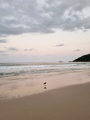 sunset on the beach