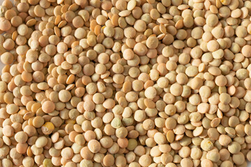 Close-up view of lentils in warm lighting.