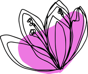 botanical floristic contour flower cherry sakura apple blossom open buds . Vector isolated minimalistic pink and black flower