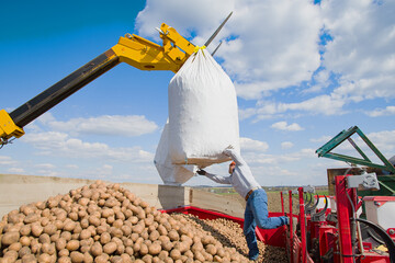 planting a potato