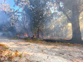 Smoke with sunlight from a bushfire in Australia