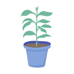 Trendy potted plants, hand drawn decorative houseplants