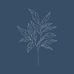 botanical floristic sketch contour branches with leaves. Vector isolated minimalistic branch on a background