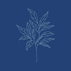 illustration of a branch with leaves